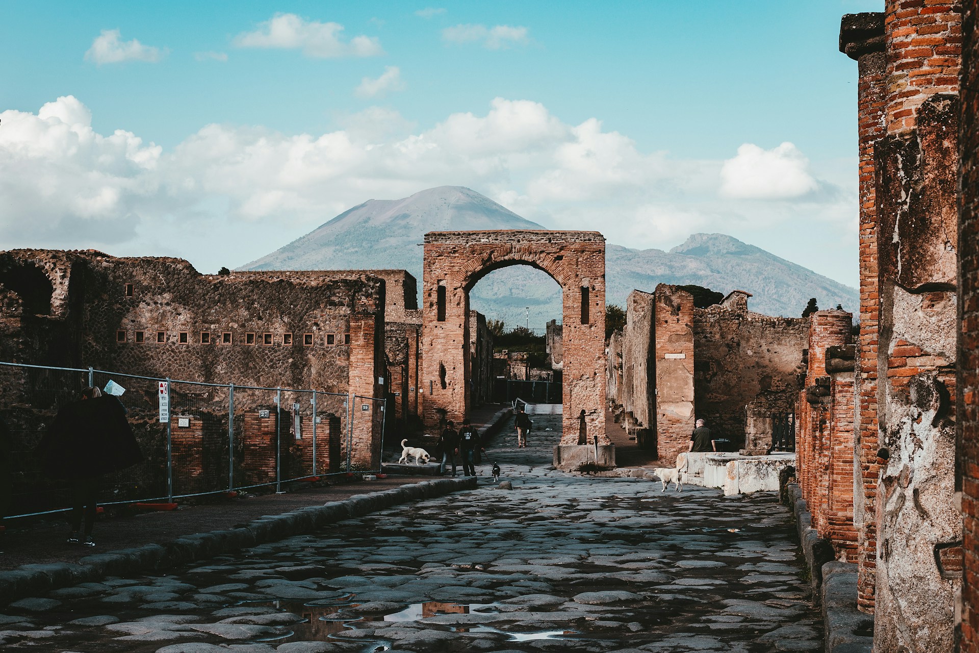 Mt Vesuvius and Pompeii tour